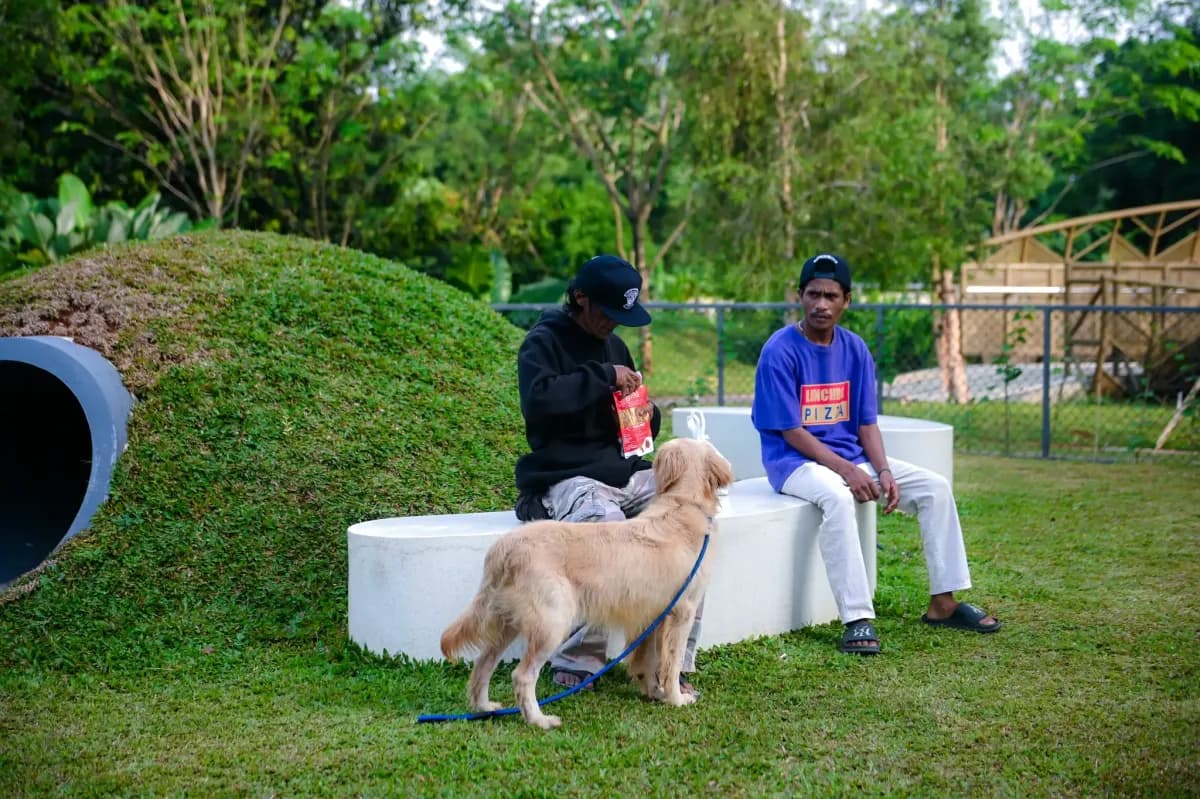 Pet Activity 1