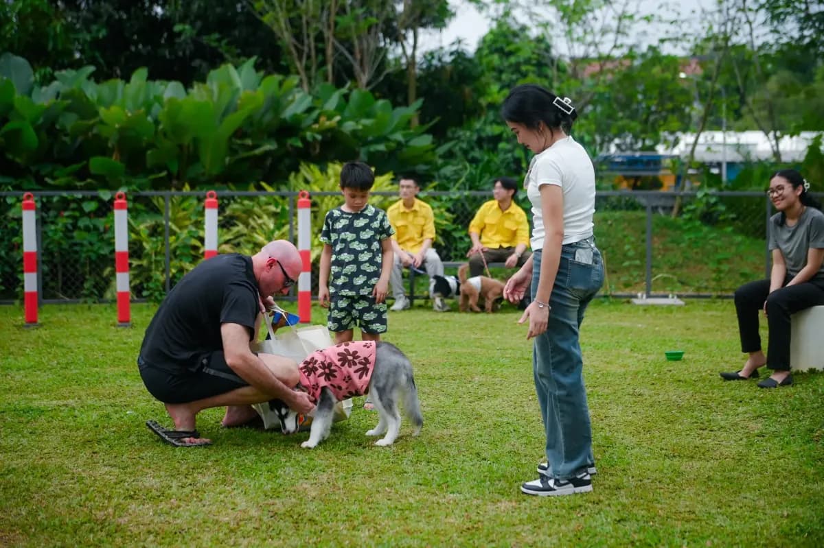 Pet Activity 4