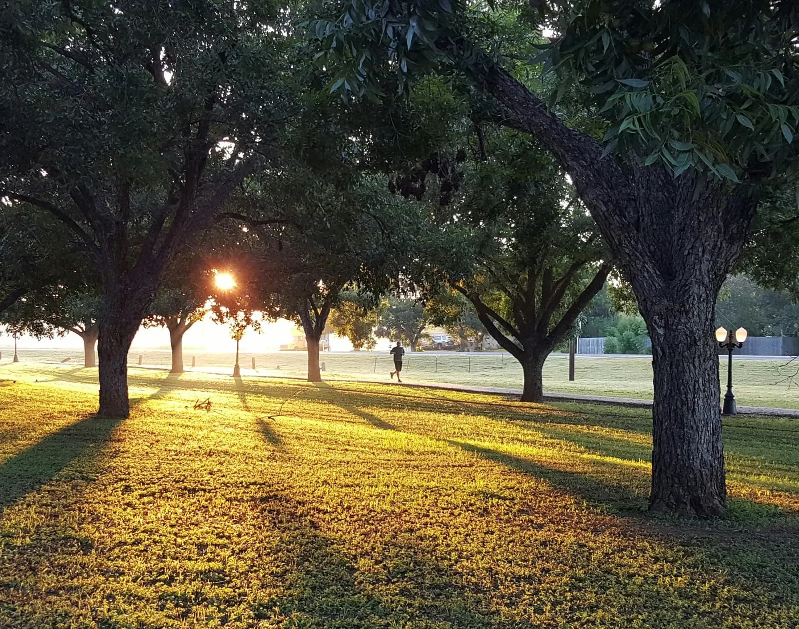 Jogging track & garden