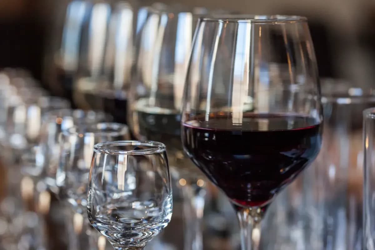 Wine Tasting 2